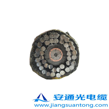 GYTA53-333|,OPPC|SADSS|r24оOPGW|